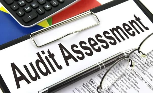 Common Audit Red Flags in the UAE